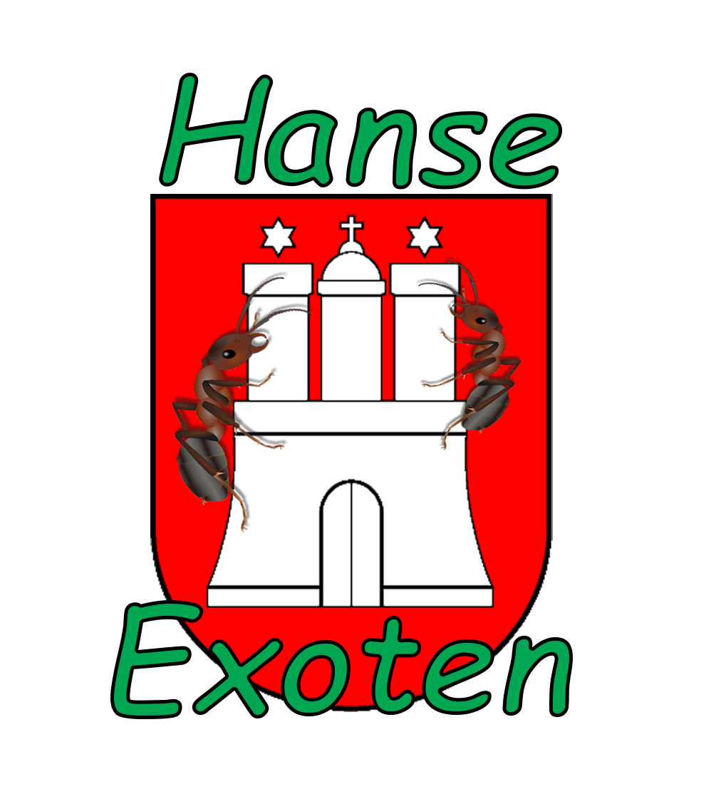Hanse Exoten